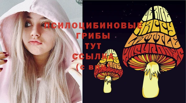 ГАЛЛЮЦИНОГЕННЫЕ ГРИБЫ Рославль